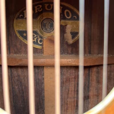 Bruno Parlor, Guitar, Brazilian rosewood, sides and back 1920s image 6