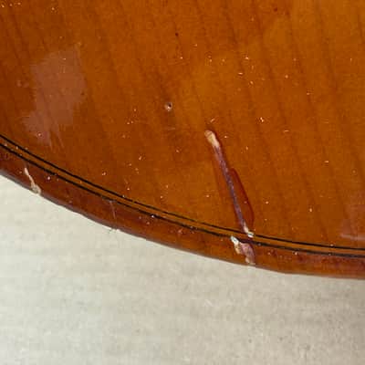 Palatino VC-450 1/2 Size Handcrafted Cello w/ Gig Bag – Repaired Cracks – Used Good image 9