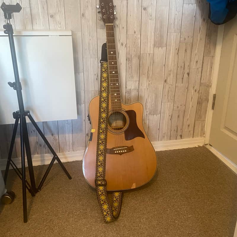 Tanglewood TW15-NS Sundance Pro Solid Spruce/Mahogany Dreadnought
