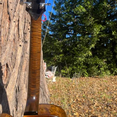 Weeks Guitar Archtop 2024 - Clear top image 5