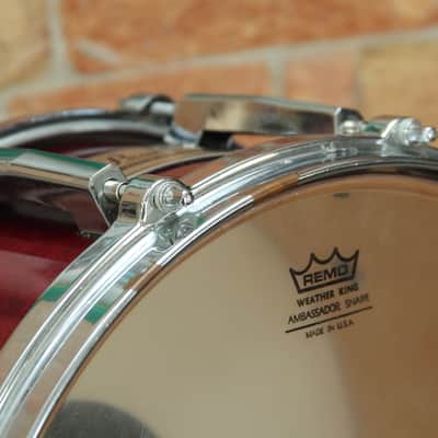 Pearl MLX All Maple Shell 14x6.5 Japan image 14