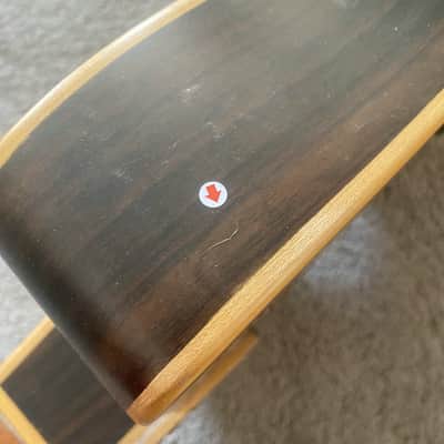 Eko 39 Inch Classical Guitar Project, Spruce Top, Rosewood Body, Mahogany Neck image 15