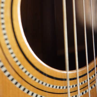 Fender Wildwood II 66 - 71 - Natural Dreadnought Acoustic w/ Hard Case image 6