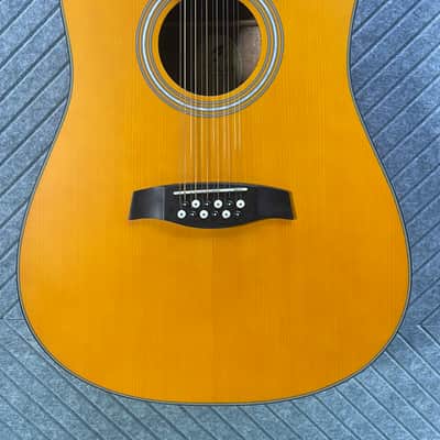 Fesley FDET280C 12 String SkunkWerx Stage Ready IN USA SETUP String Joy 2025 - Natural image 1
