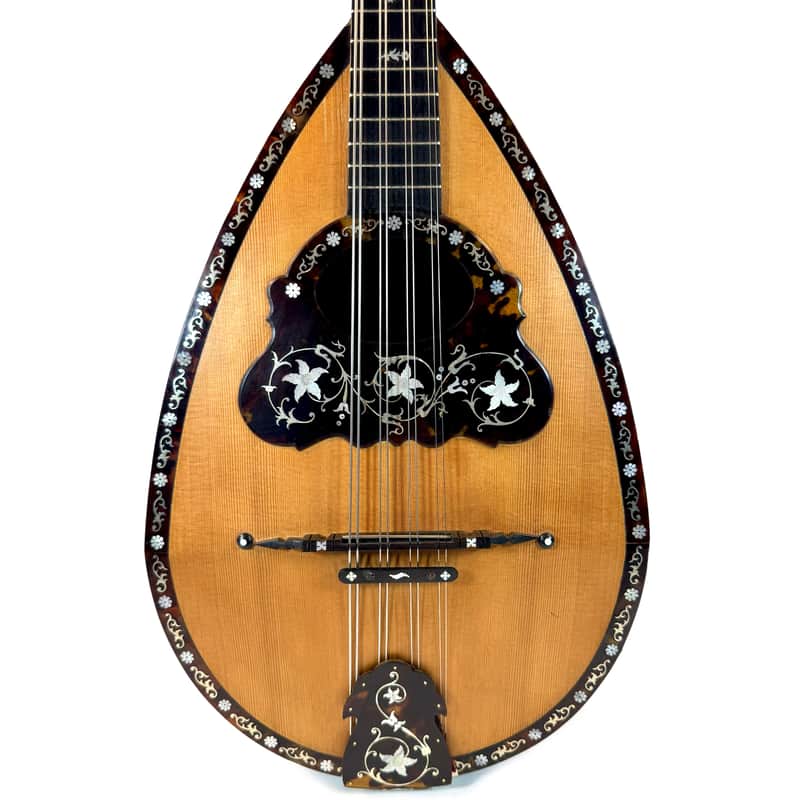 Umberto Ceccherini Mandola / Octave Mandolin (Giovanni Palladino Label) 1896 image 1