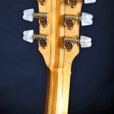 Ibanez Musician MC500 image 5