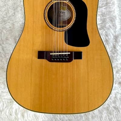 Washburn D10S12 12-String Acoustic Guitar w/ Fender Hardshell Case – Very Nice image 1