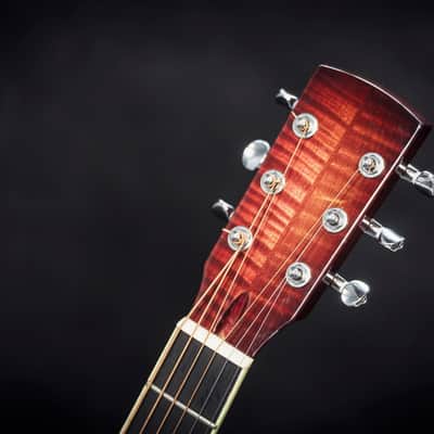 National Scheerhorn Figured Maple Roundneck 2019 image 22