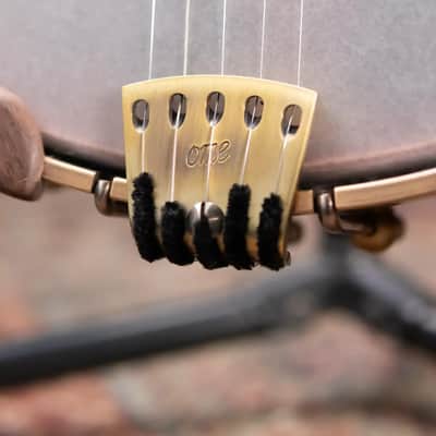 OME Banjos Jubilee 5-String Open Back Banjo with Hardshell Case image 14
