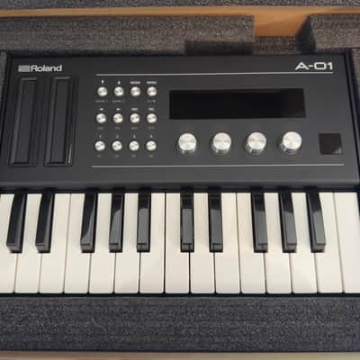 Roland A01 