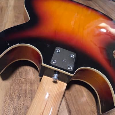 Tele-Star Hollowbody Bass and Amp 1960s Japan image 14