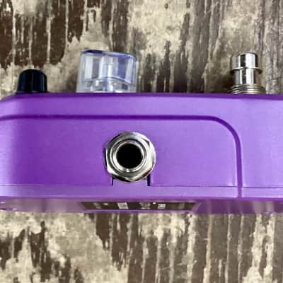 Azor Tremolo 2020 Purple image 4