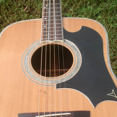 1977 Yairi YW600G Grammer Guitar Style New Jacaranda - Natural+Hard Case image 18