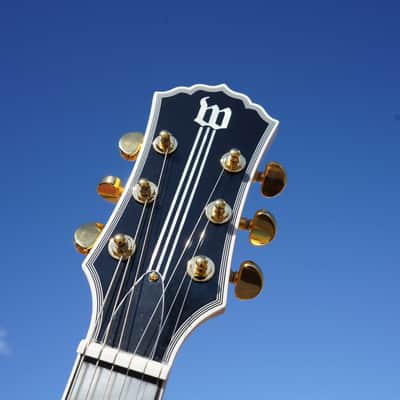 Wylde Audio Odin Grail Genesis 6-String Electric Guitar image 3