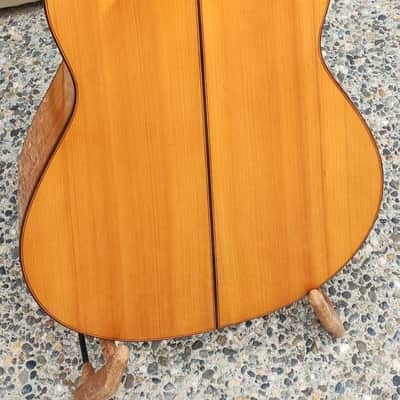 German Vazquez Rubio Flamenco - Reyes model image 6
