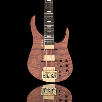DMark Fusion 5 Curly Redwood 2024 - Gloss Natural image 1