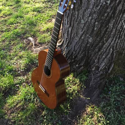 Jose Ramirez R1 Classical Guitar - Solid Cedar Top image 15