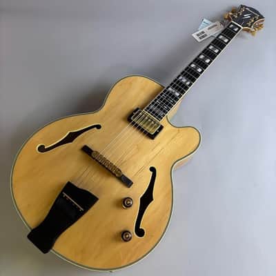 Ibanez PM200 2025 image 2
