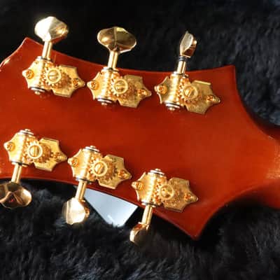 Knaggs Kenai-T3 Double Purf Wickedburst 2016 image 6