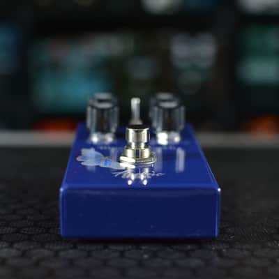 Fredric Effects Blue Monarch image 2