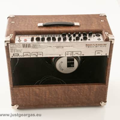 Tech 21 Bronzewood 60 - Acoustic Guitar Amp - Made in USA image 8
