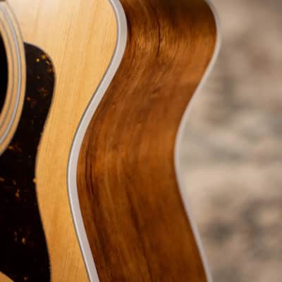 Taylor 214ce-K Grand Auditorium Acoustic/Electric Guitar with Gig Bag image 13