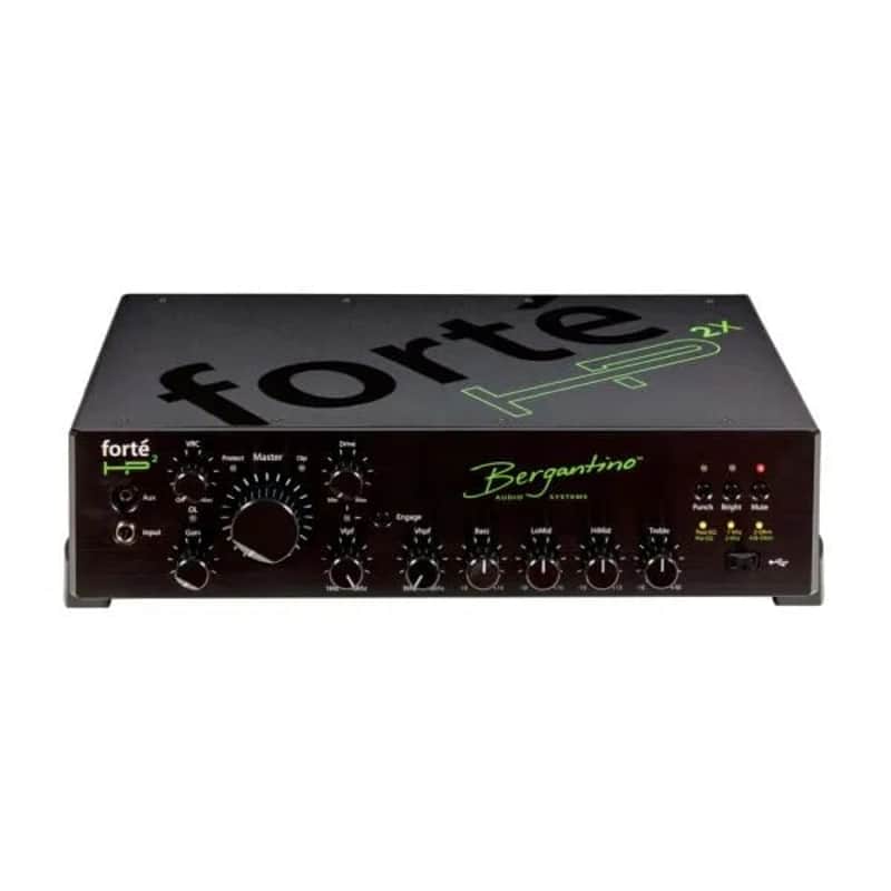 Bergantino Forté HP2X image 1