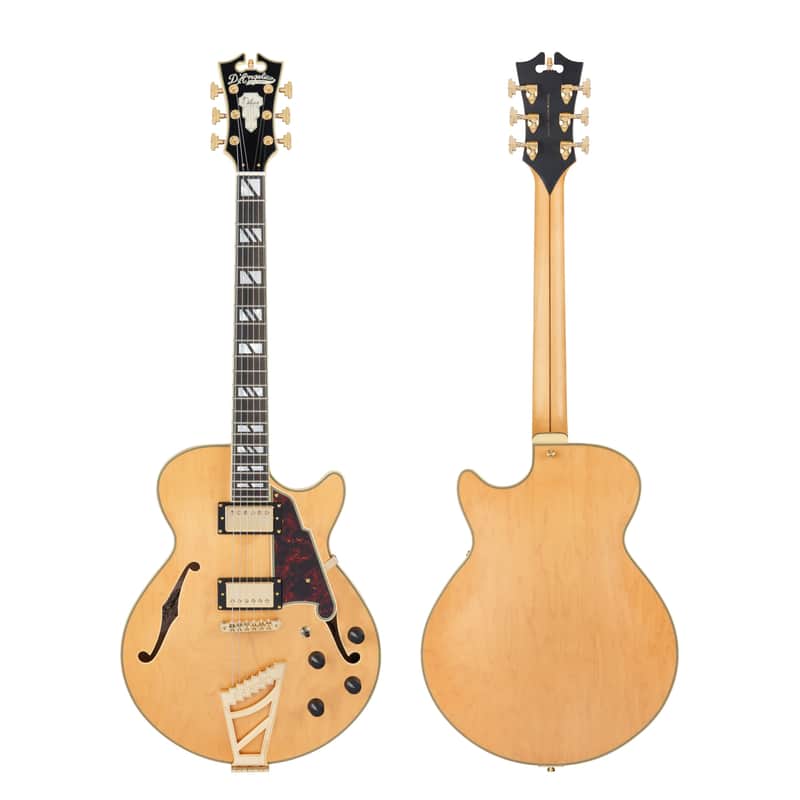 D'Angelico DADSSSHNGT DELUXE SS Single Cutaway Semi-Hollow Body 6-String Electric Guitar w/Deluxe Hardshell Case image 1