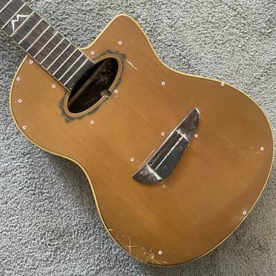 Eko 39 Inch Classical Guitar Project, Spruce Top, Rosewood Body, Mahogany Neck image 1