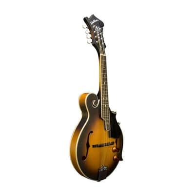 Washburn M3EK  F  Style Mandolin Pack with Spruce Top, Maple Back and Sides, 20 Frets, Maple Neck, Tobacco Sunburst image 3