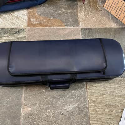 violin case. Full size image 6