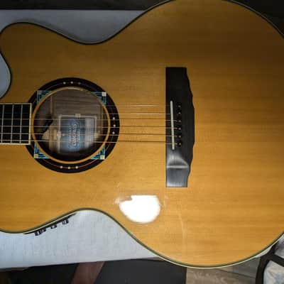 Yamaha Compass CPX-15 AD - Light image 3