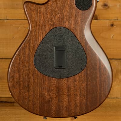 Taylor T5z Series | T5z Classic image 2