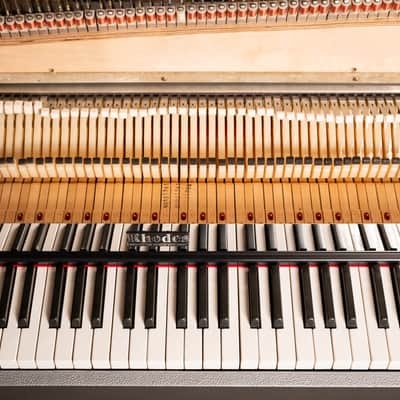 Fender Rhodes 1979 Mark I - Fully Restored/Custom Built image 16