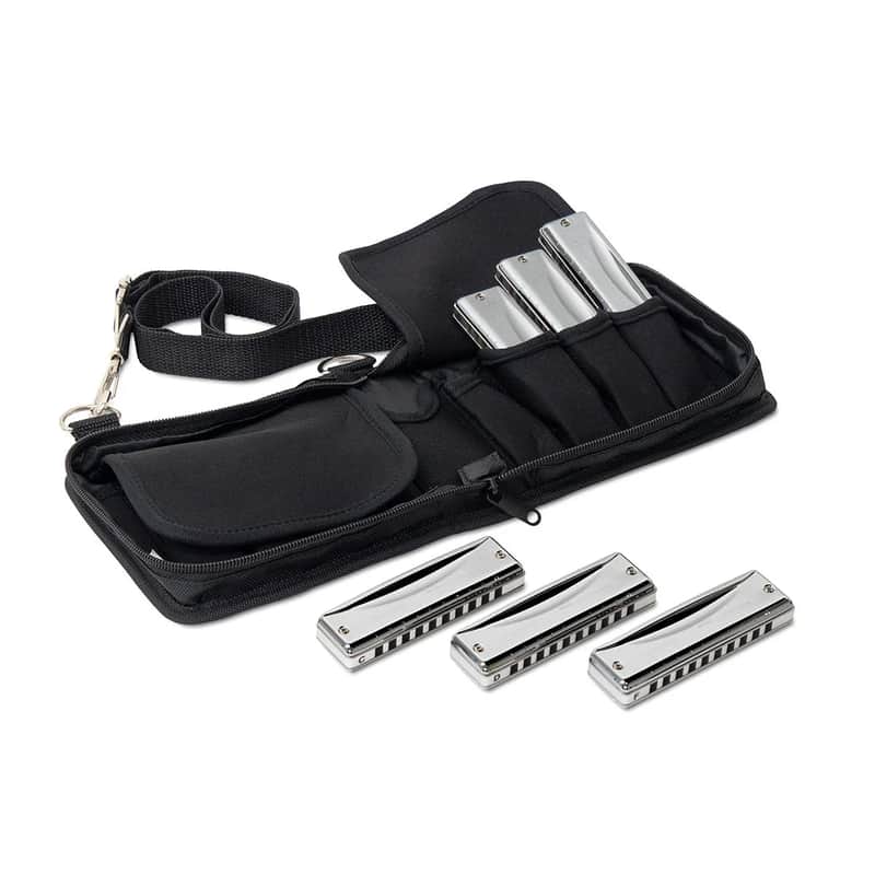 Suzuki Promaster 10-hole diatonic harmonica set image 1