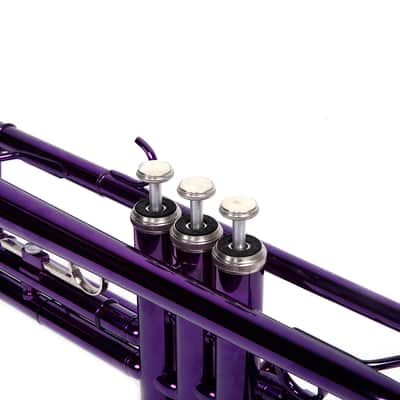 Cxxss Brass B Flat Trumpet Violet image 12
