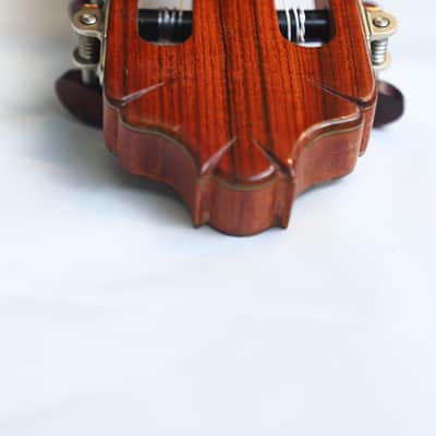 Jose Salinas 2019 "Negra" Flamenco Guitar - Exceptionally good sounding Guitar – Powerful & Expressive - Check Video! image 10