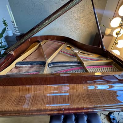 Immagine Petrof Baby Grand Piano 1990’s - Mahagony - 15
