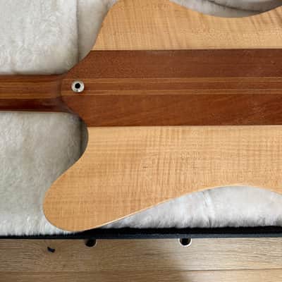 2007 Gibson Firebird V Guitar of the Week #24 image 21
