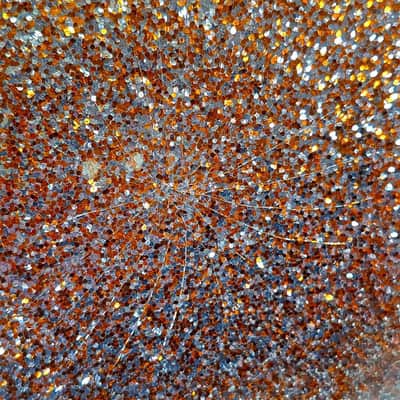 Used Gretsch Renown Bass Drum Champagne Sparkle 20x16 - Good image 8