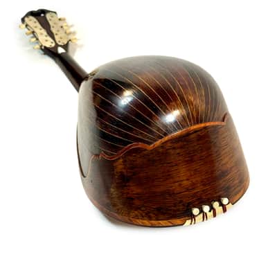 Gennaro & Achille Vinaccia Neapolitan Mandolin 1898 image 16