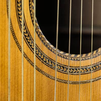 1950s Noname 10-string Guitar Lute natural image 6