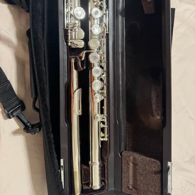 Di Zhao DZ-300 Flute image 3