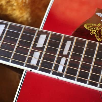 1973 MIJ Antoria Hummingbird (Ibanez Concord) 684 1st Edition Near Mint + Japanese Case image 9