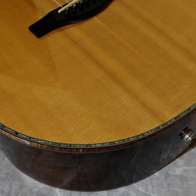 Kathy Wingert Model EVC - (Brazilian RW) image 3