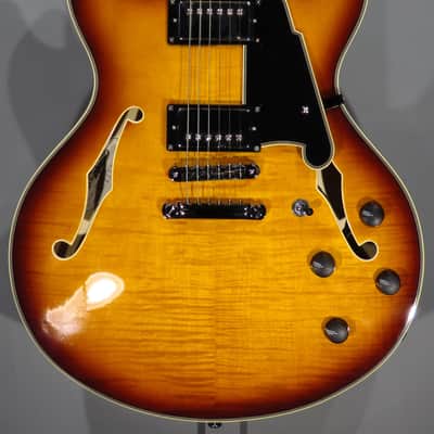 D'Angelico Premier DC 2024 - Dark Iced Tea Burst w/Gig Bag image 1