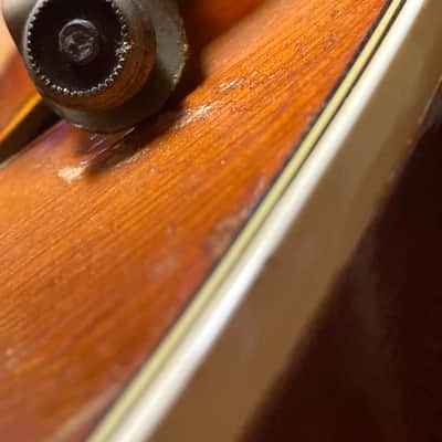 Levin SOLIST MODEL 2 1955 - Honey Burst image 6