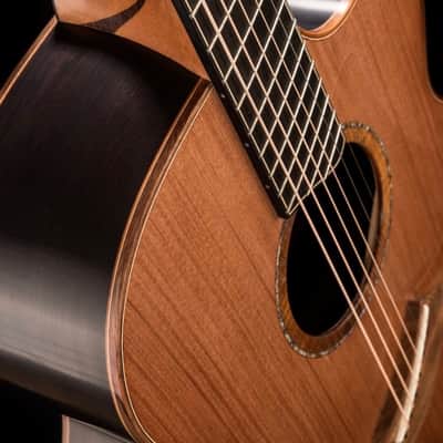 Lowden O50c Fan Fret African Blackwood image 11