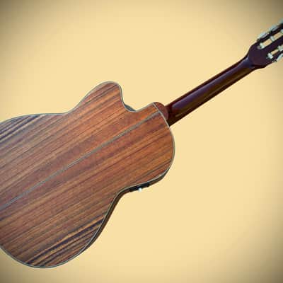 Rare Vintage Handcrafted Vantage VSC-20 CE Nylon Classical Acoustic/Electric Guitar w/Cutaway & Pickup/Preamp image 2