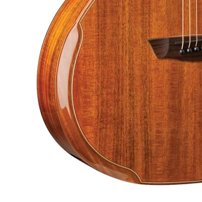 Washburn WCG55CE Comfort Series Grand Auditorium Cutaway 6-String Acoustic-Electric Guitar image 5